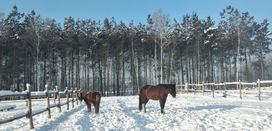 Wyniki konkursu fotograficznego